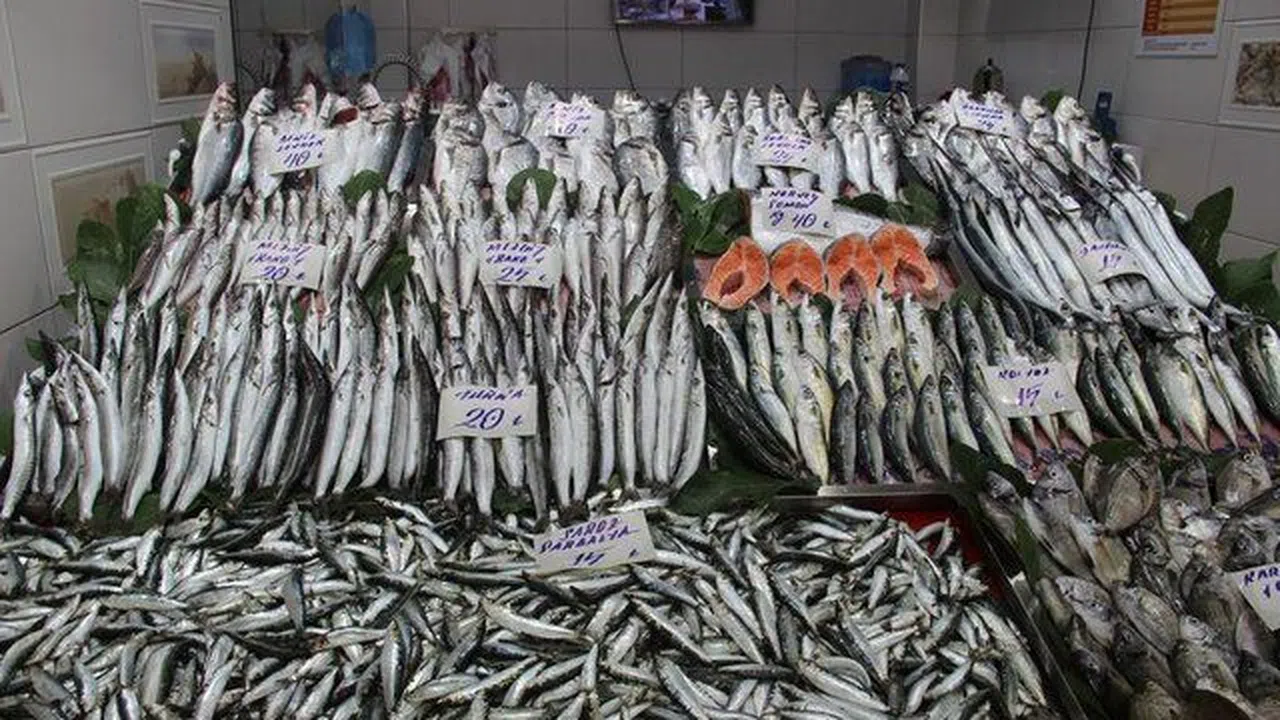 Balık Tüketimi sağlığa çok faydalı