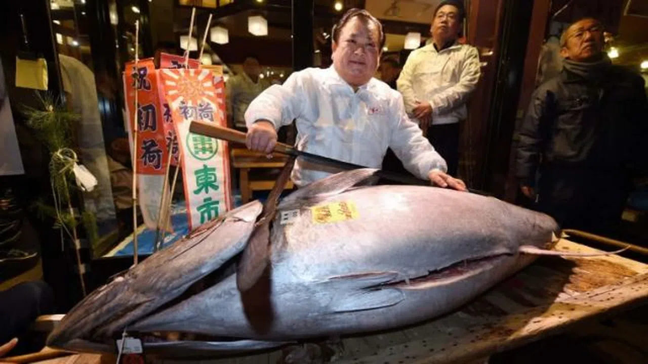 Japonlar çıldırdı! Tek bir balık için servet ödüyorlar