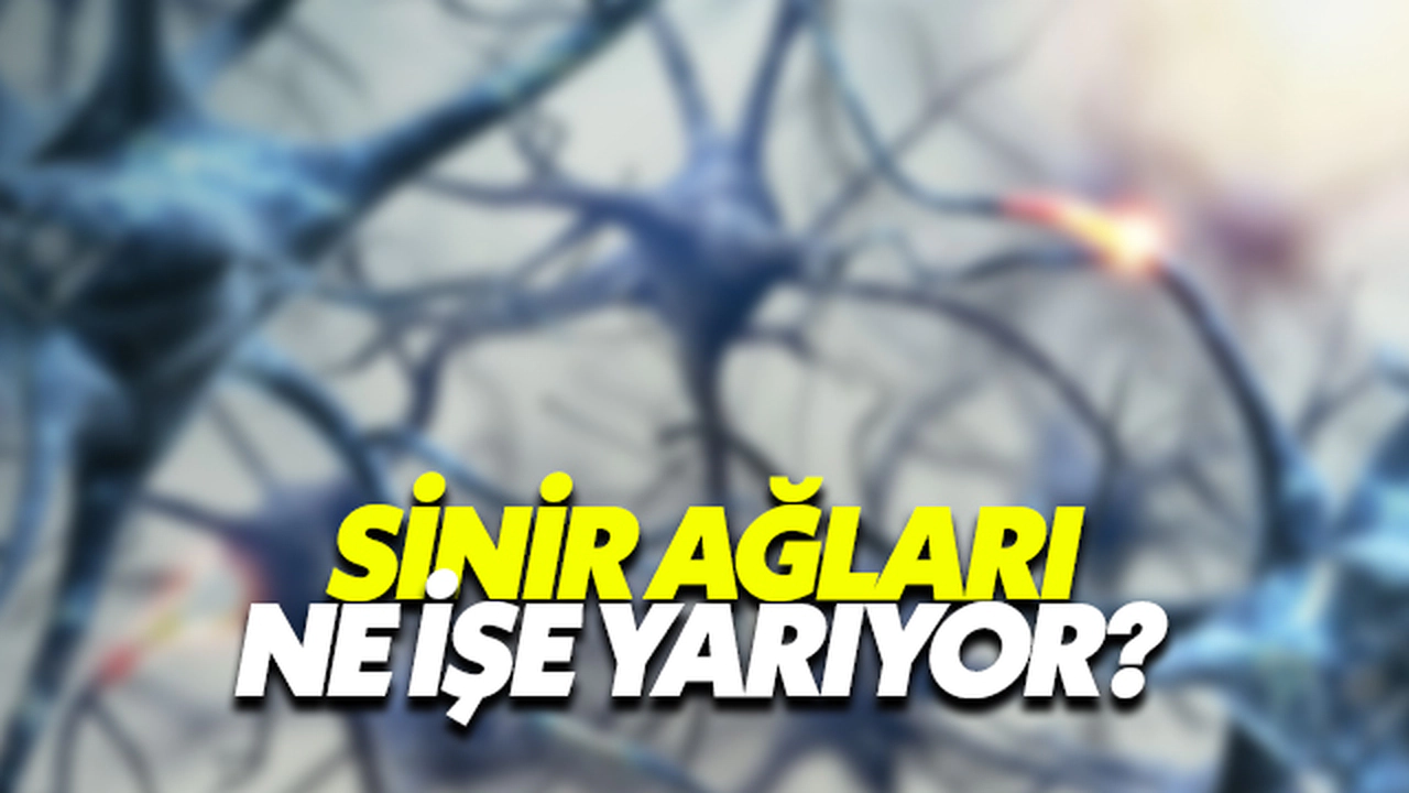 Sinir Ağları Ne İşe Yarıyor