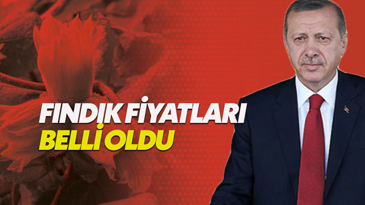 Fındık fiyatları ne kadar oldu 2019? 1. kalite fındık ne kadar? Erdoğan'dan fındık fiyatı açıklaması
