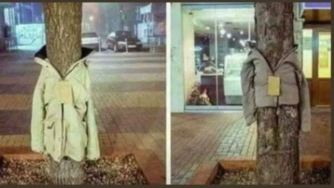 Yunanistan'da anlamlı kampanya 'kıyafetler ağaca'