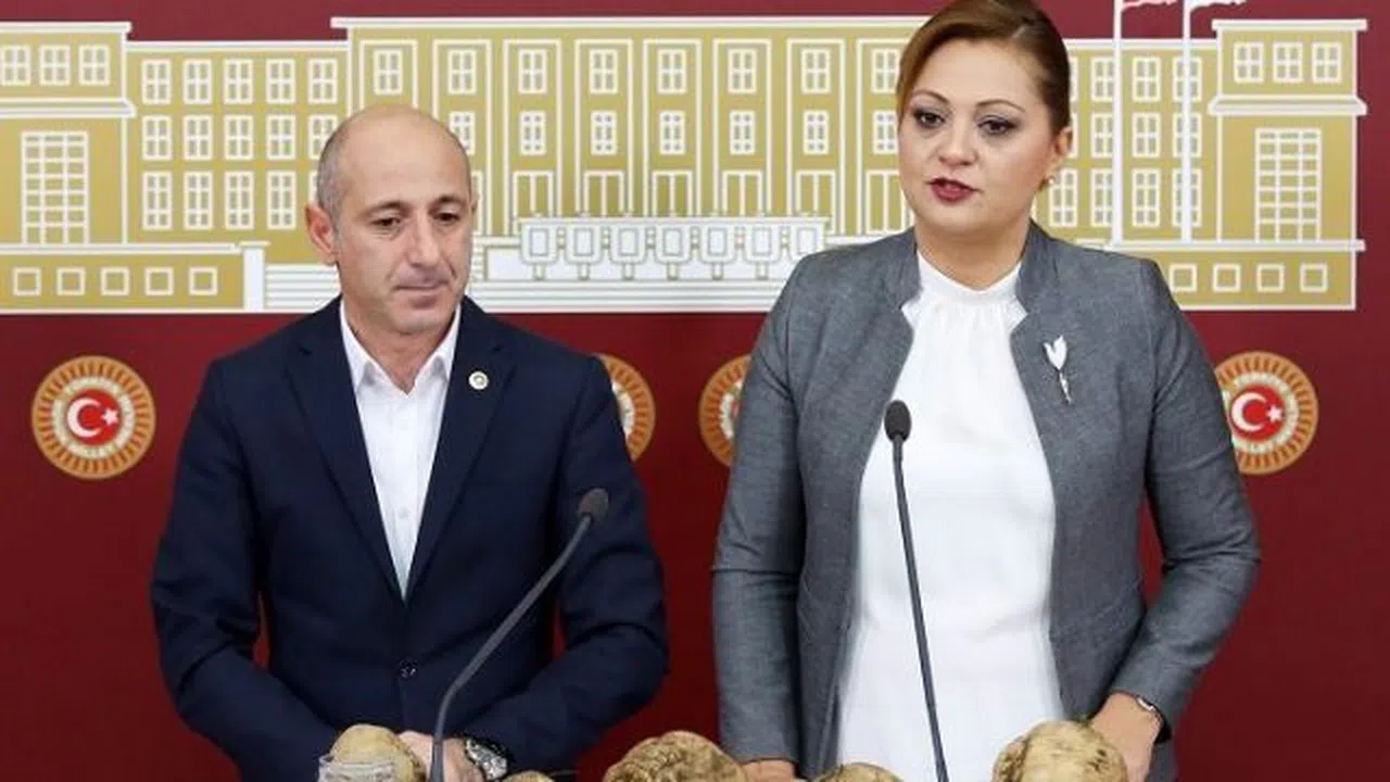 Burcu Köksal: Türkiye Nişasta Bazlı Şekere Muhtaç Kalacak