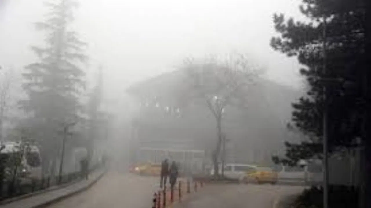 Bursa sis altında