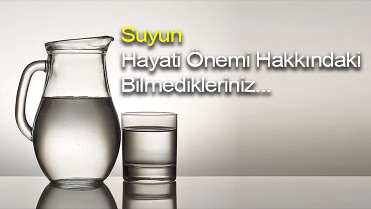 Suyun Hayati Önemi Hakkında Bilmedikleriniz