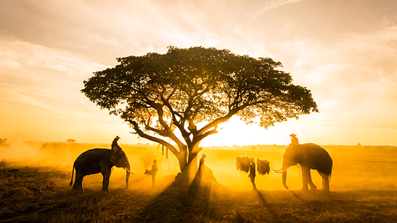 Güney Afrika'da Ekonomik Kriz
