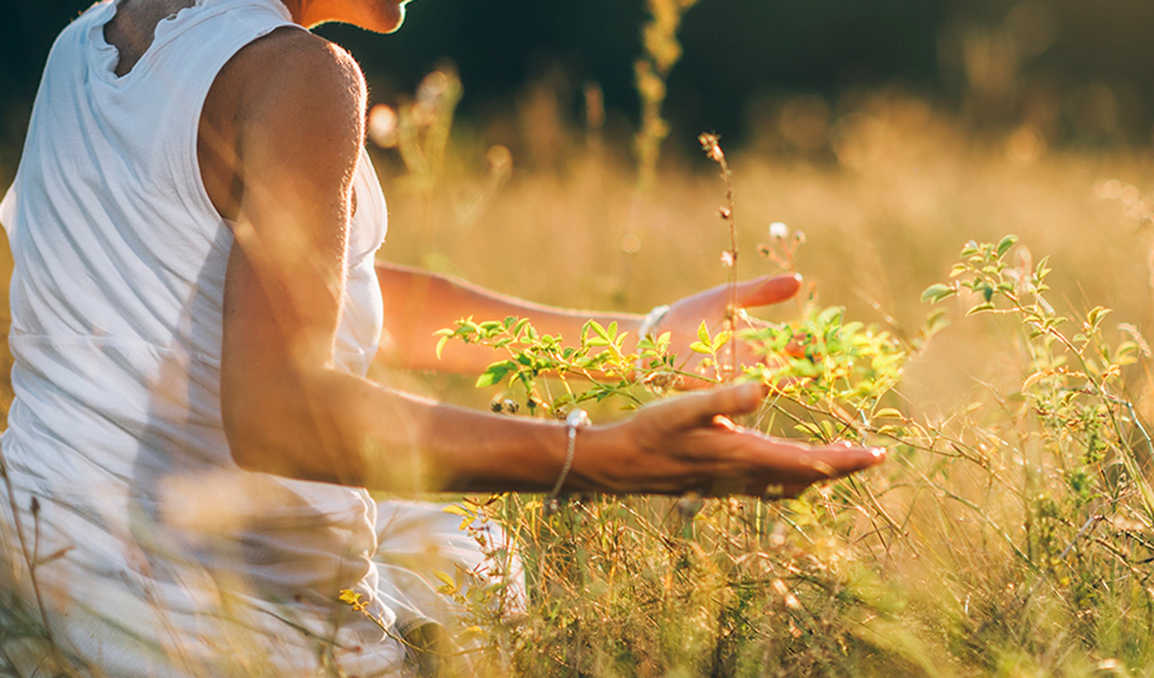 Bitkisel İçeceklerin Fiziksel ve Zihinsel Sağlığa Etkileri