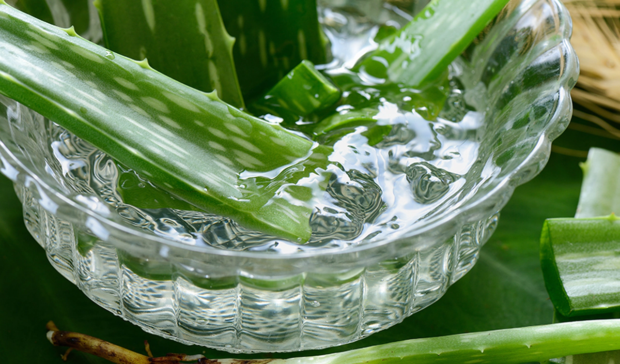 Aloe Vera'nın Sağlık ve Güzellikteki Eşsiz Faydaları