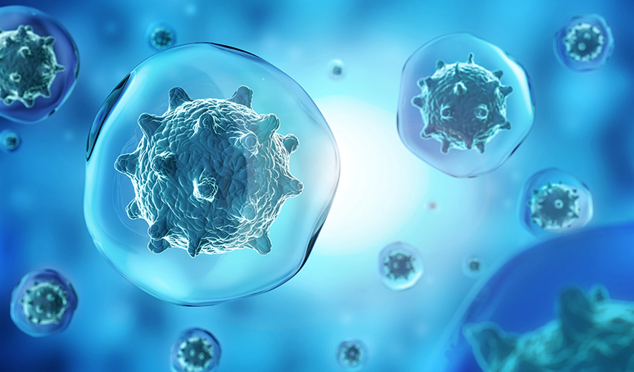 Kanserin Genetik Aktarımı, Gerçekler ve Risk Faktörleri