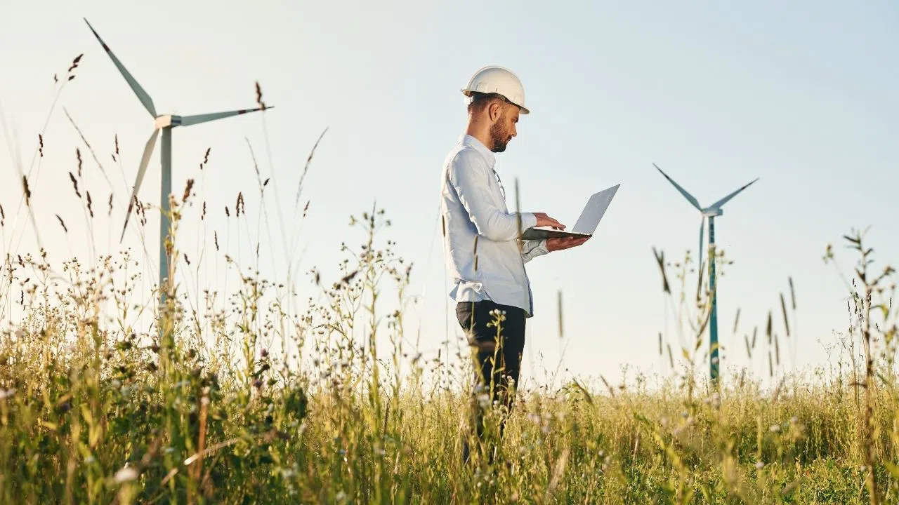 Hayvan davranışları teknolojik tasarımlara ilham verebilir
