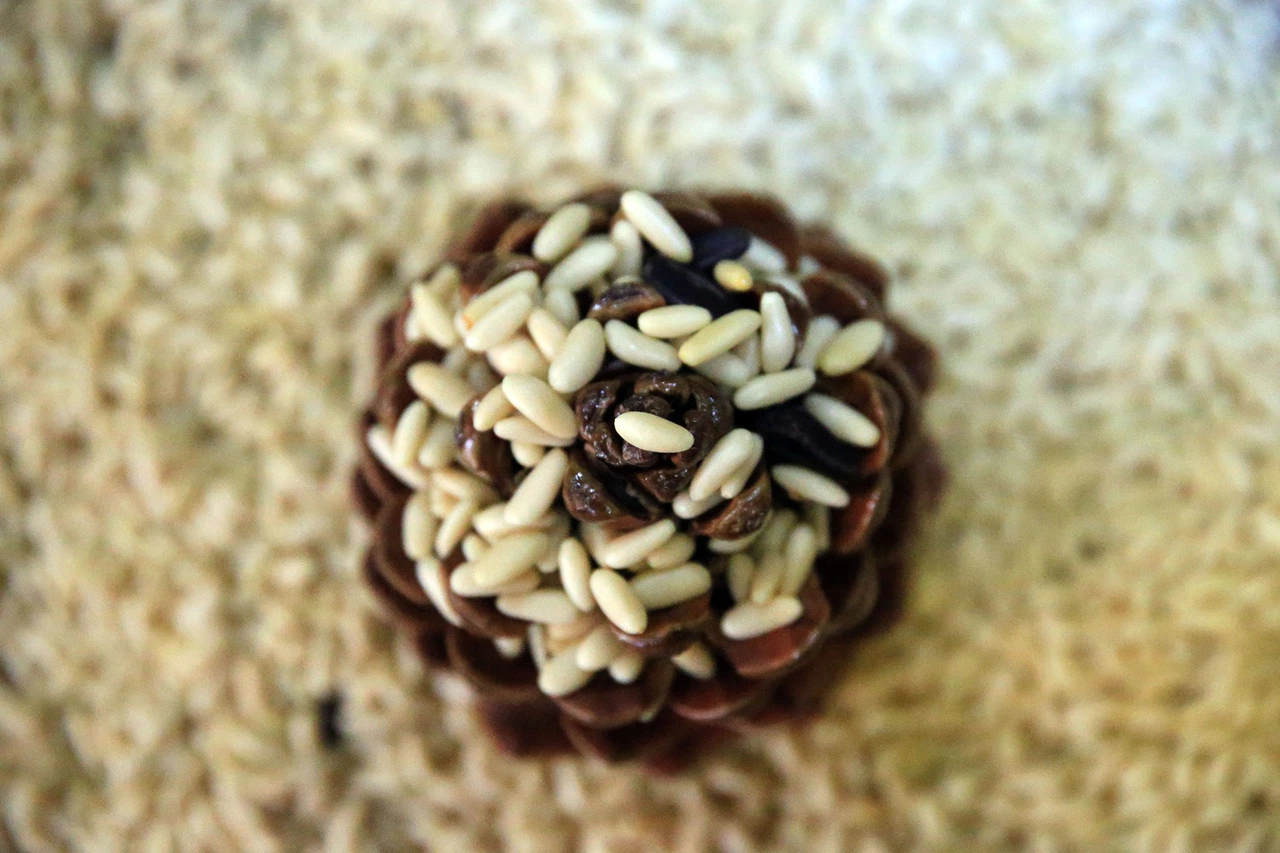 Aydın çam fıstığı AB coğrafi işaret listesine girdi