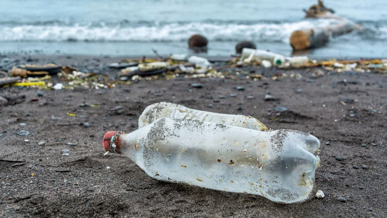 Mikroplastik kirliliği, okyanuslarda görünmeyen tehlike
