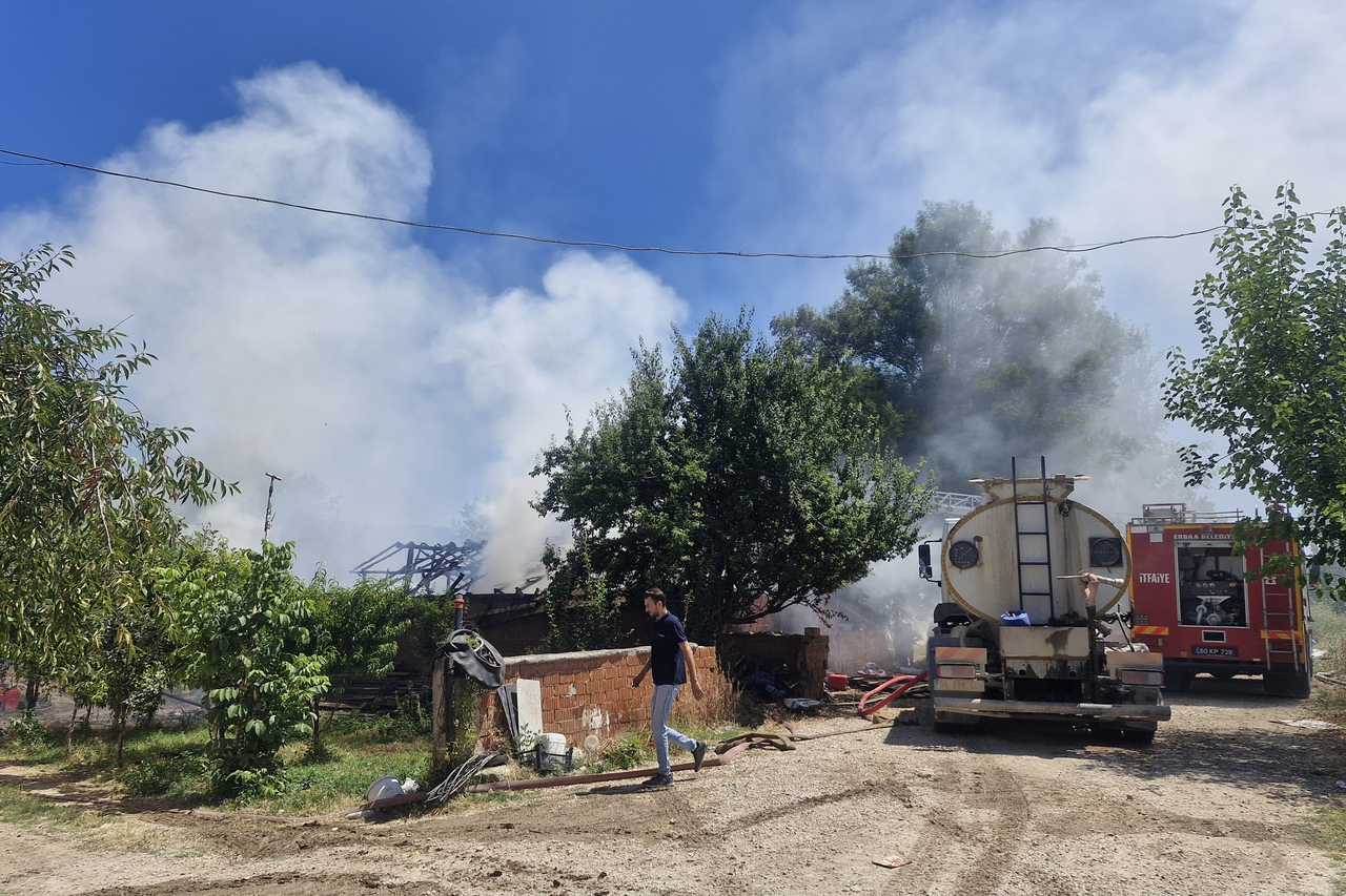 Tokat'taki yangın faciasında hayvanlar zarar gördü