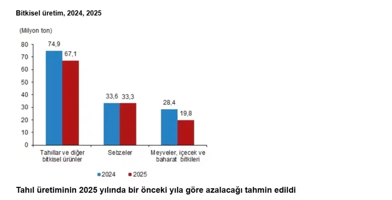 TÜİK'ten 2025 Bitkisel Üretim Tahminleri: Azalma Bekleniyor
