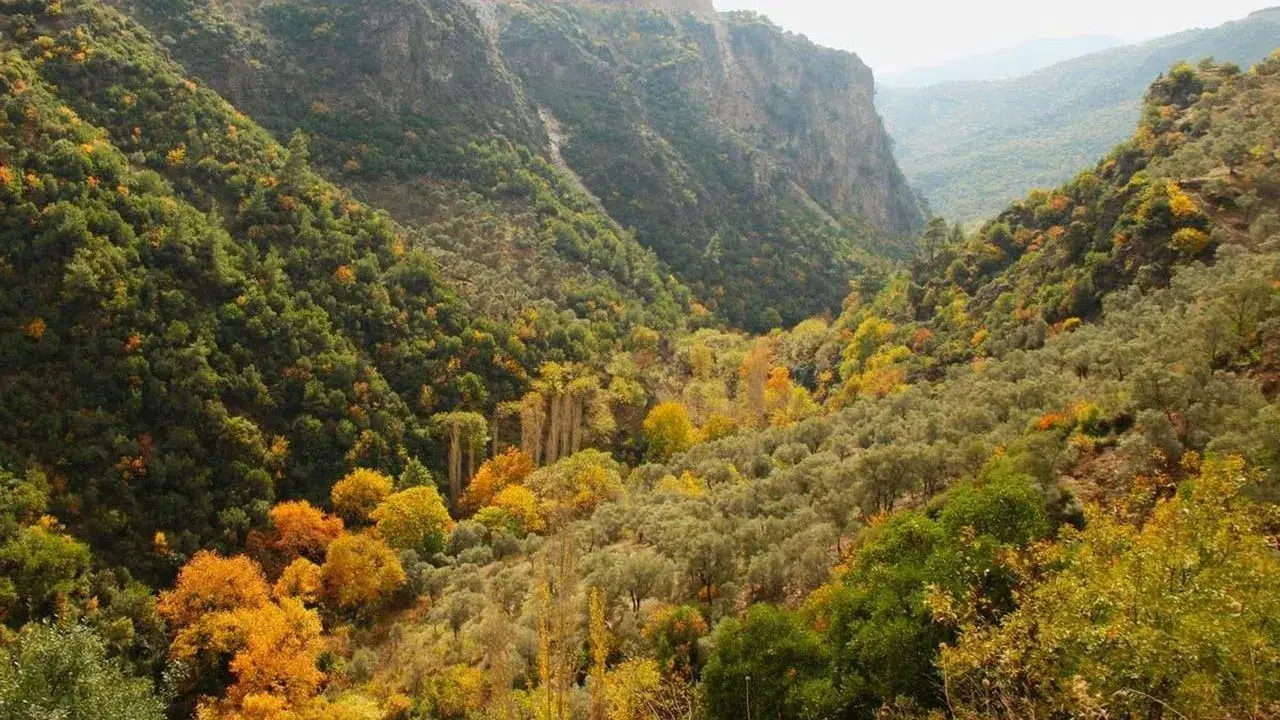 EKODOSD, Koçak Kanyonu'ndaki Çöp Sorununa Dikkat Çekti