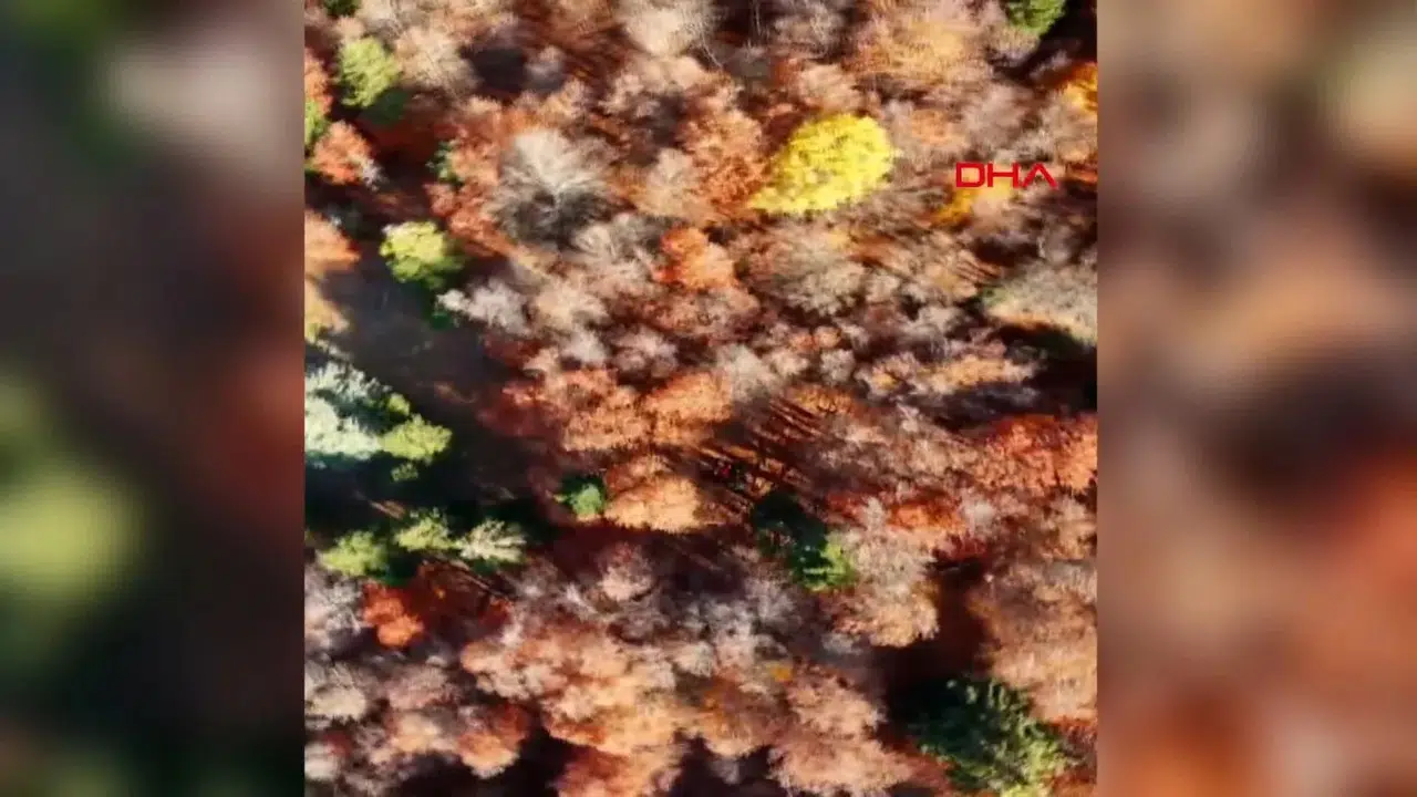 Amanos Dağları’nda Sonbahar Manzarası