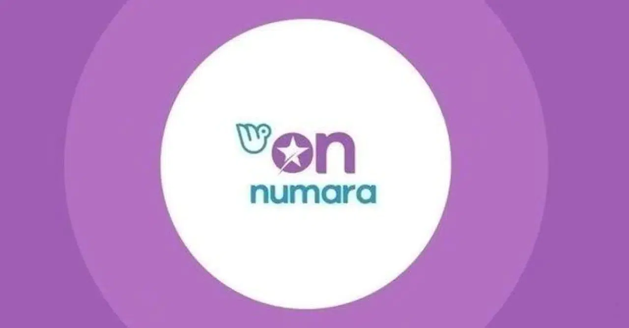 24 Kasım On Numara Sonuçları Açıklandı: İşte Kazananlar Numaralar