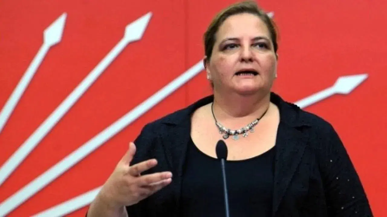 CHP MYK'da Yer Alan Bihlun Tamaylıgil Kimdir?