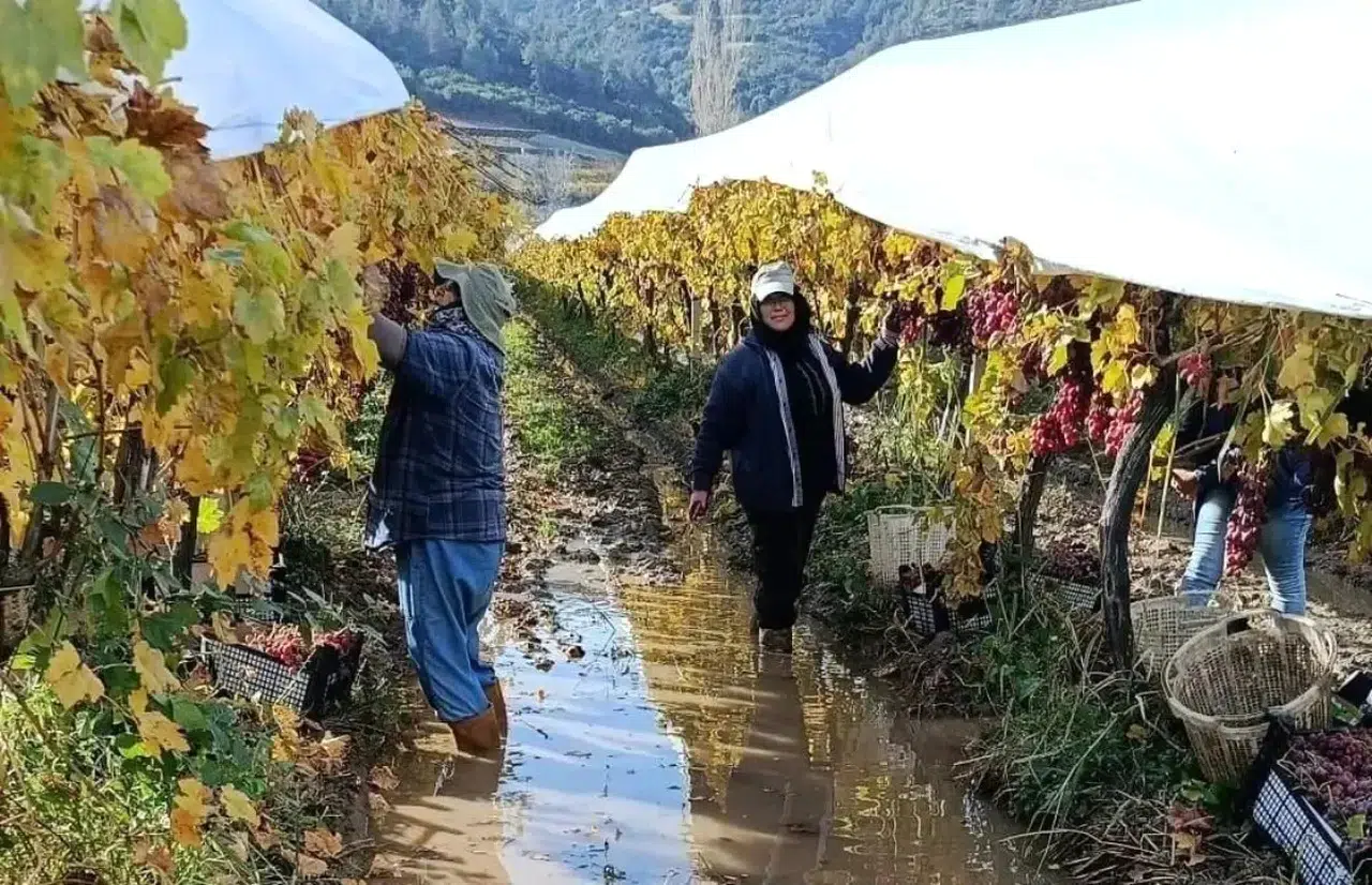 İşçiler Yağmur ve Çamura Rağmen Üretime Devam Ediyor