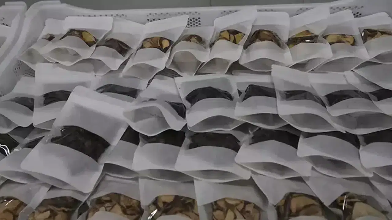 Tokat'ta Yeni Tarım Tesisinin Açılışı Gerçekleşti