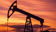 Petrol Fiyatları Bugün Ne Kadar?
