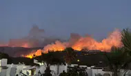 Muğla’nın Milas ilçesinde orman yangını