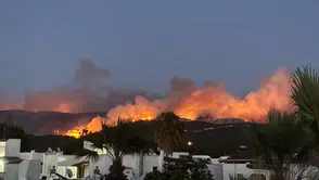 Muğla’nın Milas ilçesinde orman yangını