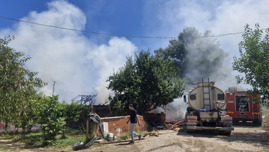 Tokat'taki yangın faciasında hayvanlar zarar gördü