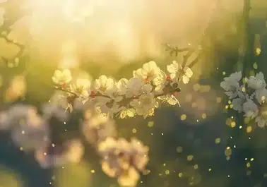 2026 Cemre Düşme Tarihleri: Baharın Gelişi