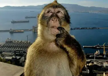 Dünya Düşünme Günü Nedir ve Neden Kutlanır?