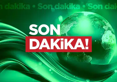 PFDK, Domenico Tedesco'ya Verilen Cezayı Açıkladı: Nedenleri Neler?