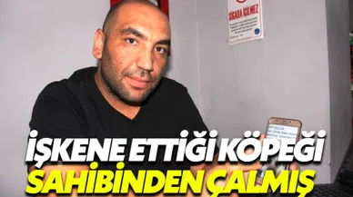 Muğla'da otomobil arkasına bağlanarak işkence edilen köpek çalıntı çıktı