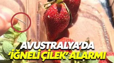 Avustralya'da iğneli çilek alarmı