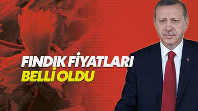 Fındık fiyatları ne kadar oldu 2019? 1. kalite fındık ne kadar? Erdoğan'dan fındık fiyatı açıklaması