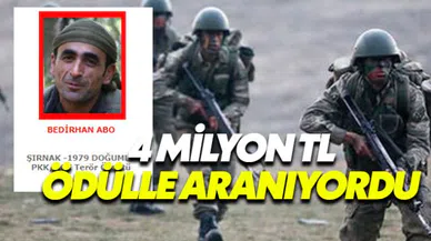 Kırmızı kategoride yer alan terörist 'Bedirhan Abo' etkisiz hale getirildi