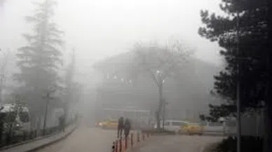 Bursa sis altında