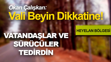 Vali Beyin Dikkatine!