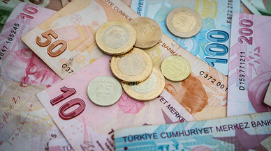 Türkiye'de Döviz Kurlarındaki Son Değişimler ve Analizler