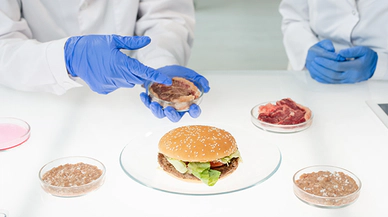 Biyolojik Suni Et Burgeri Dünya Marketlerinde