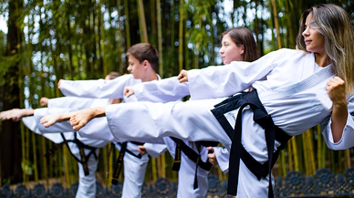 Taekwondo, Kökeni, Gelişimi ve Bugünkü Durumu