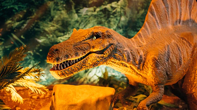Dinozorların Soyunun Tükenmesinin Gerçek Nedeni Nedir?