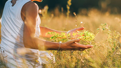 Bitkisel İçeceklerin Fiziksel ve Zihinsel Sağlığa Etkileri