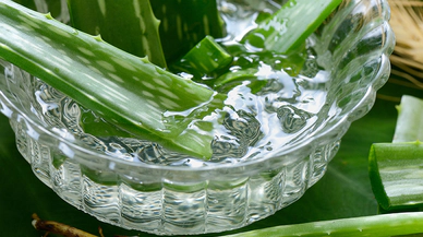 Aloe Vera'nın Sağlık ve Güzellikteki Eşsiz Faydaları