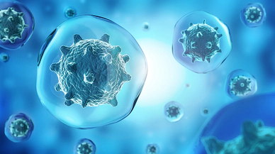 Kanserin Genetik Aktarımı, Gerçekler ve Risk Faktörleri