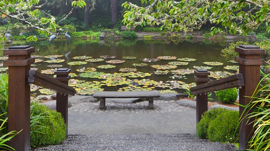 Zen Felsefesiyle Şekillenen Japon Bahçelerinin Estetiği