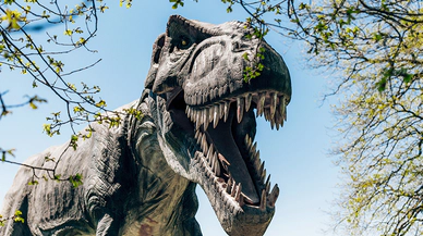 Dinozor Dünyasında Yeni Bir Tür Keşfi