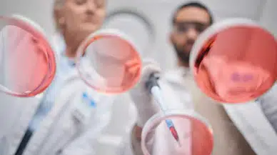 Patoloji, Hastalıkların Tanı ve Tedavisinde Anahtar