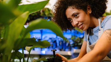 Bitkiler Arasındaki Kimyasal İletişim ve İnsanlarla Etkileşim