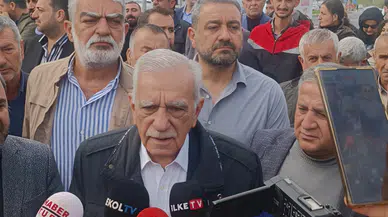 DEM Partililerden Gerginlik Yaratan Eylemler