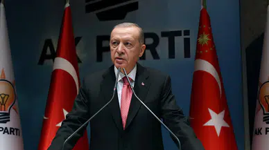 Türkiye'nin Filistin Mücadelesi, Bağımsız Devlet Hedefi