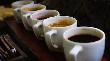 Kahvenin İzinde , Kıtaları Aşan Kültürel Bir Yolculuk